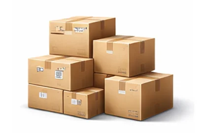 Livraison express Colis dans Zwijnaarde Belgique